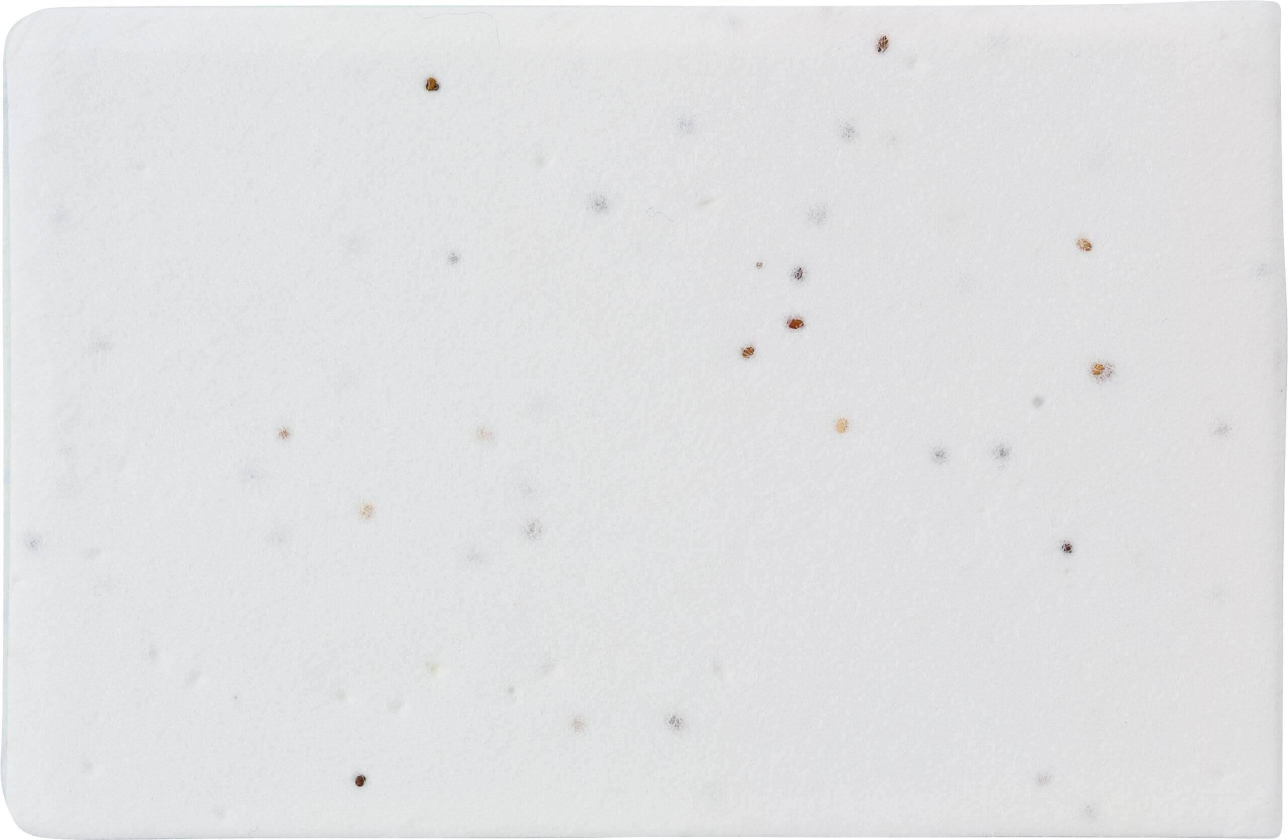 Notas adesivas de papel sementes Natalja