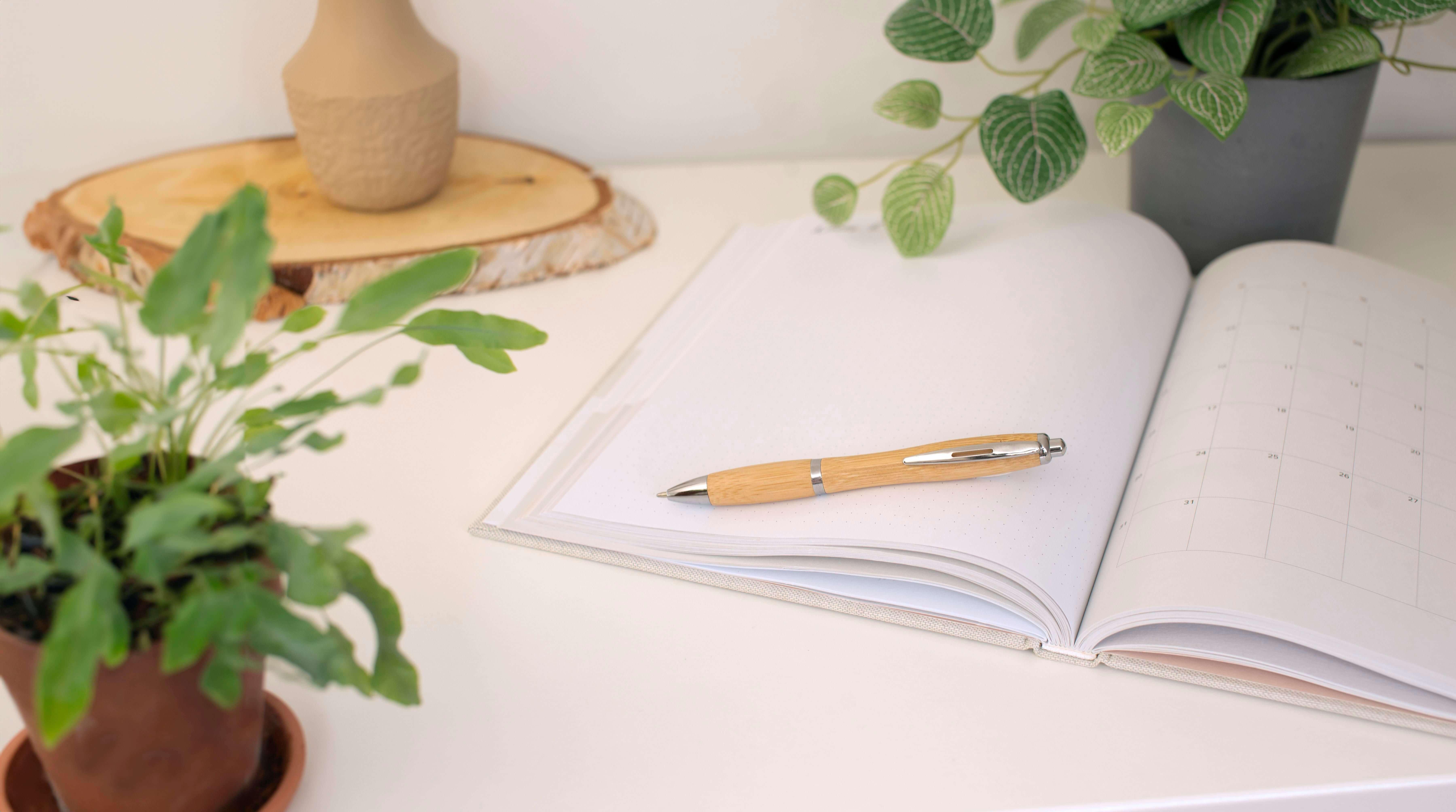 Esferográfica de bambu Carson