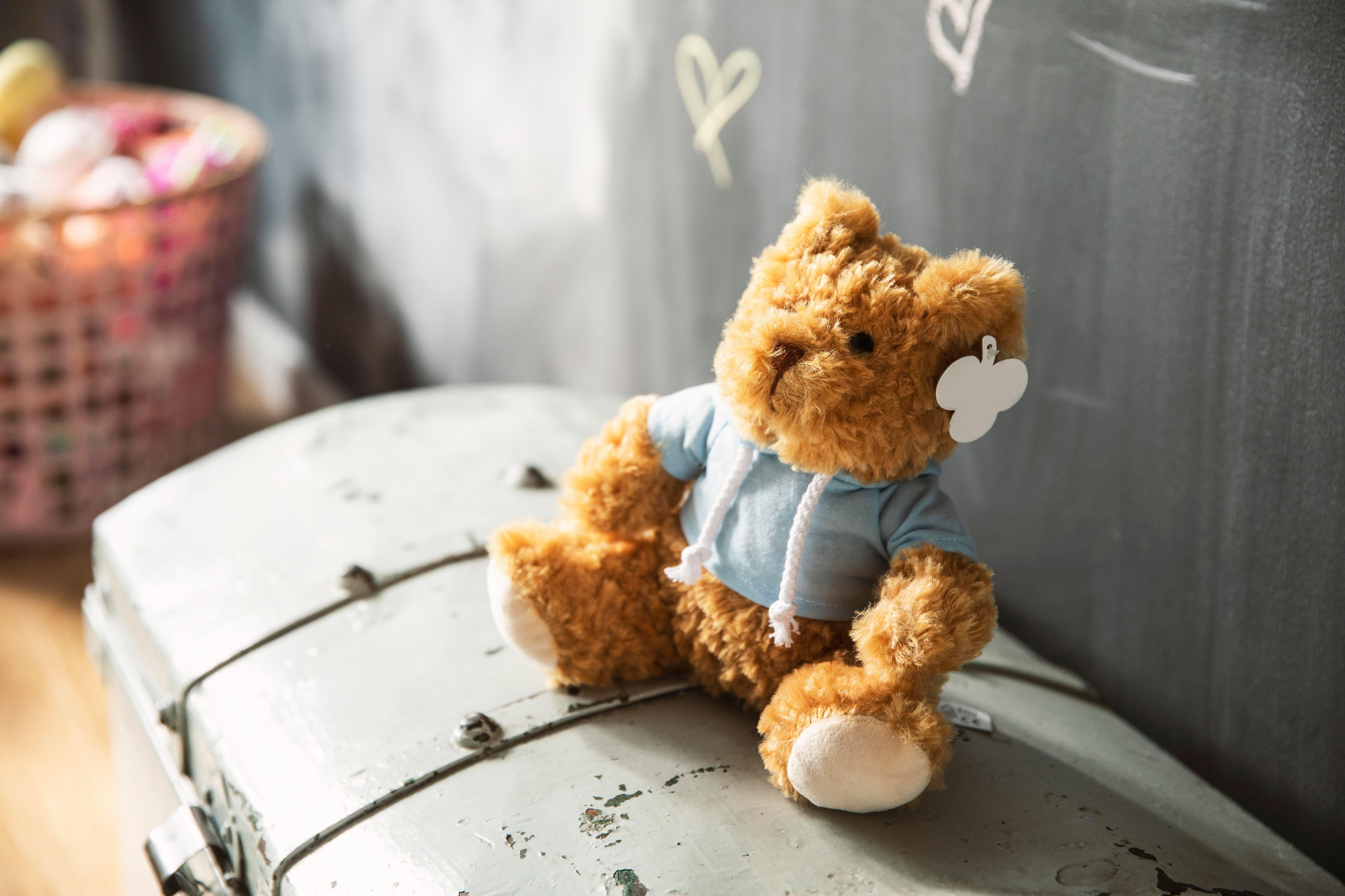 Urso de pelúcia com capuz Monty