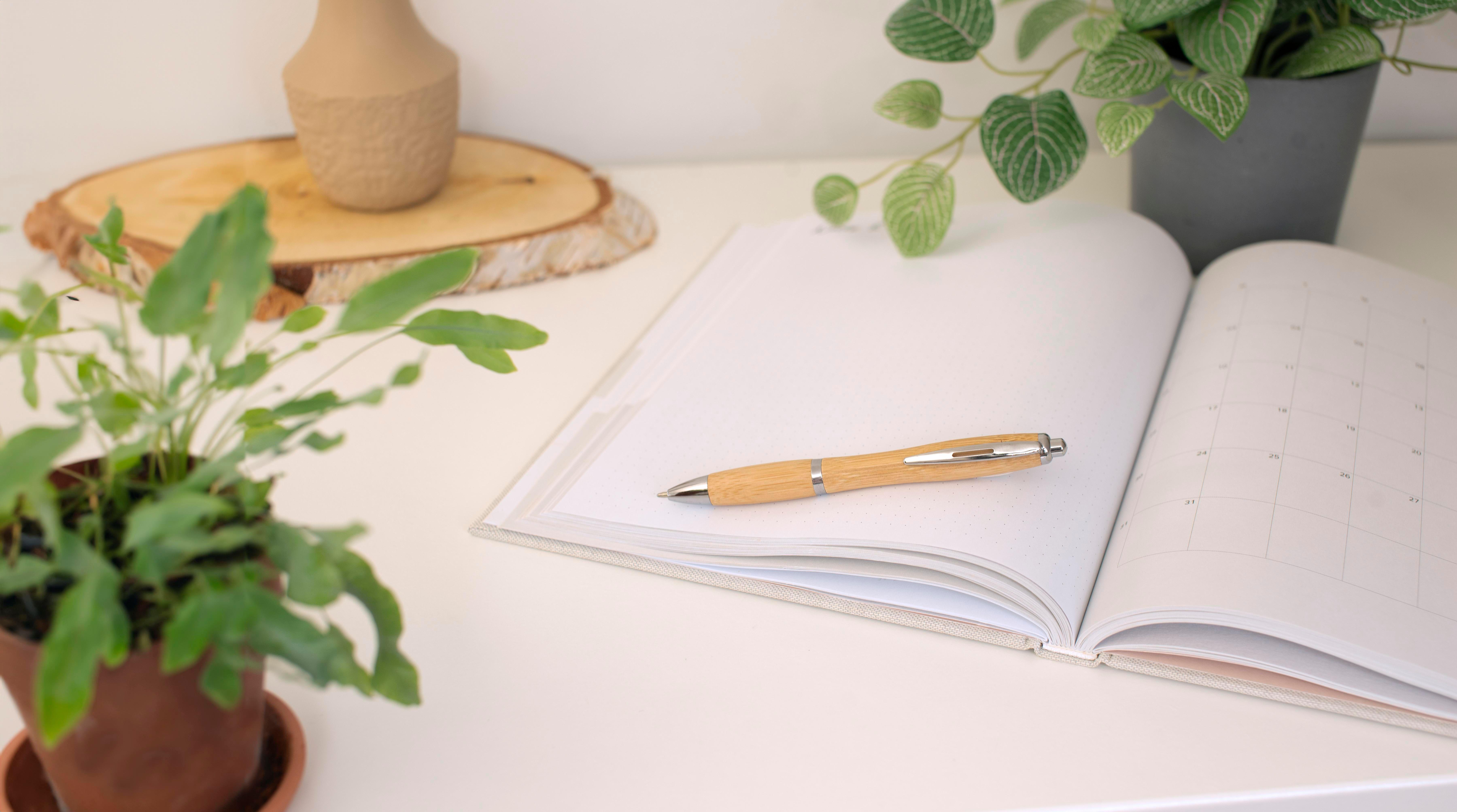 Esferográfica de bambu Carson