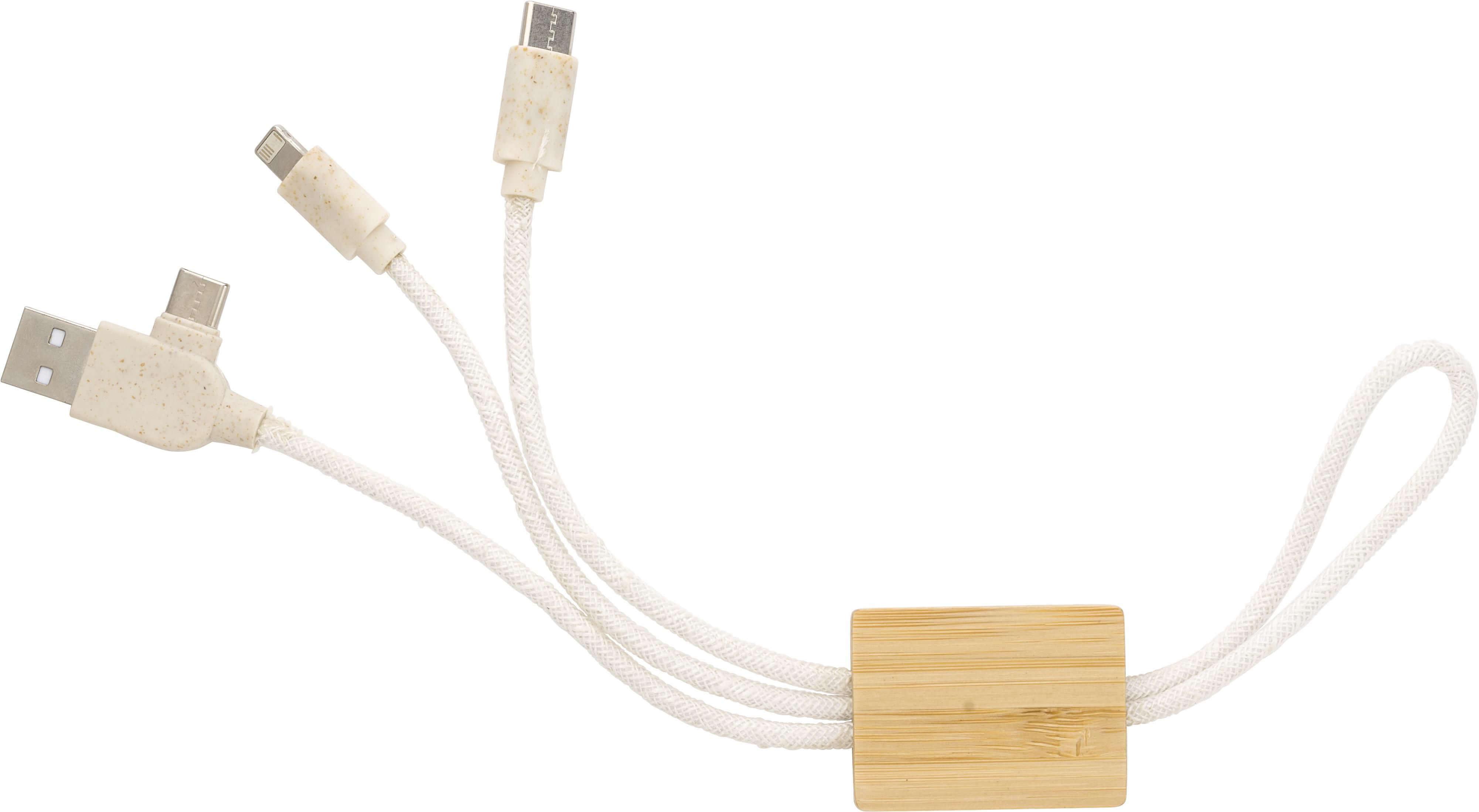 Giving 976587 2 impr 1023580 Porta-chaves com carregador USB Keegan - Image 2