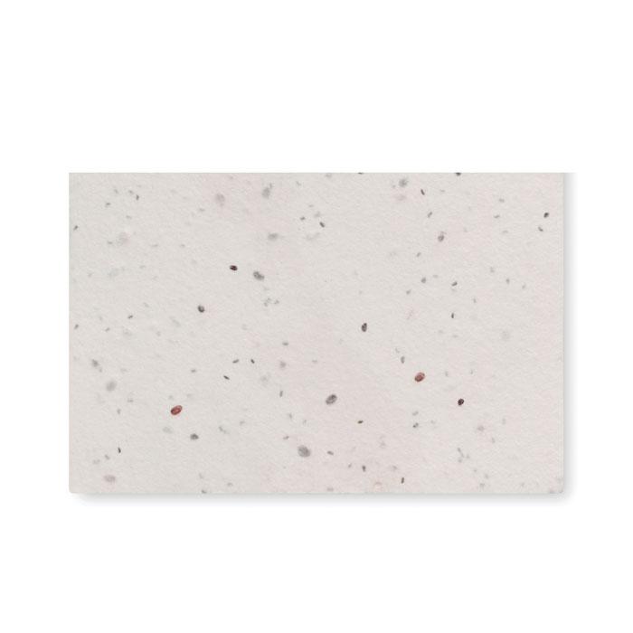 Cartão de visita de sementes de fl