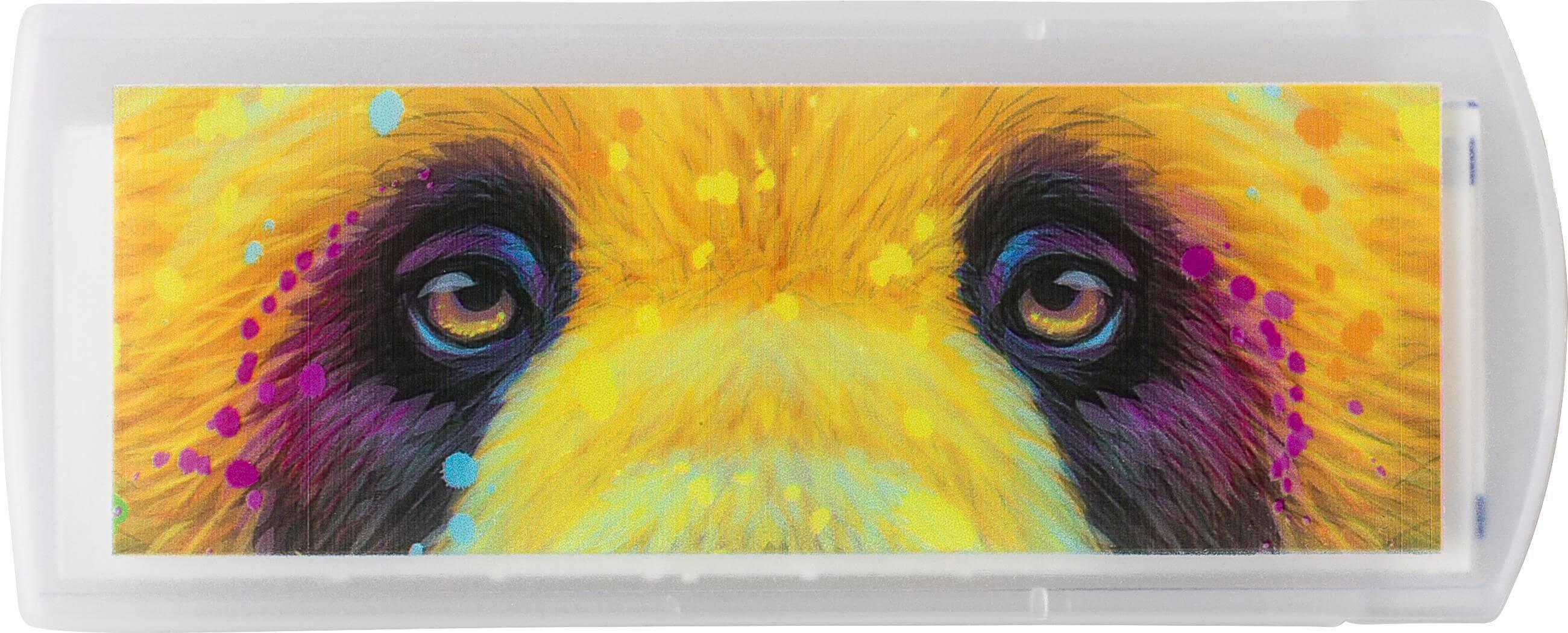 Estojo de plástico com pensos-rápidos Pocket