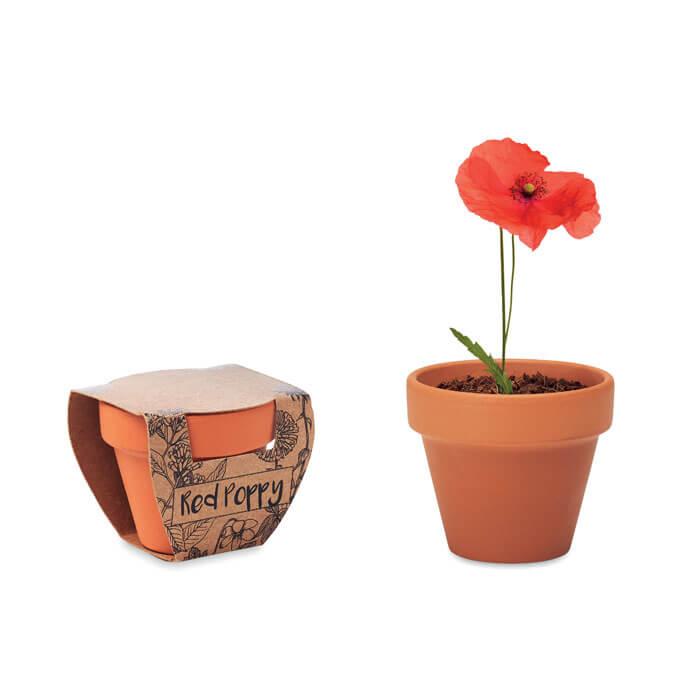 Vaso em terracota 'papoila'